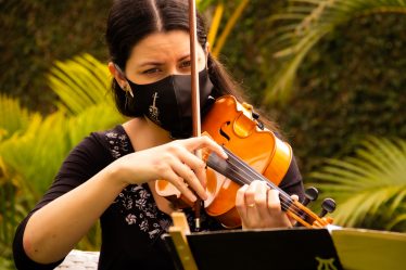 violino curitiba